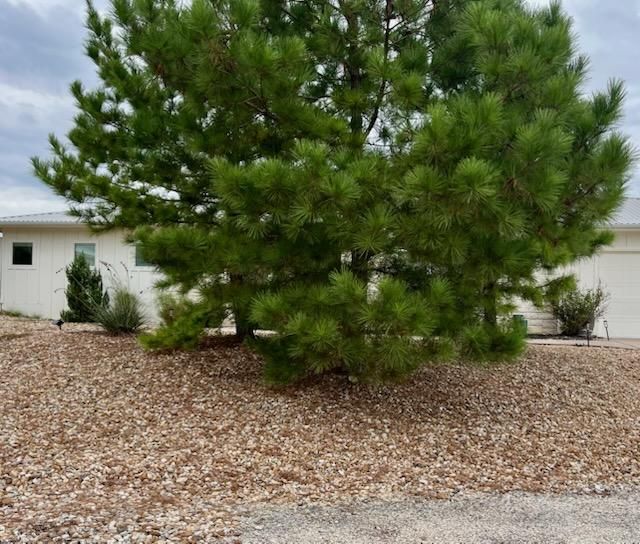 All Photos for Oviedo Land & Garden in Bastrop, TX