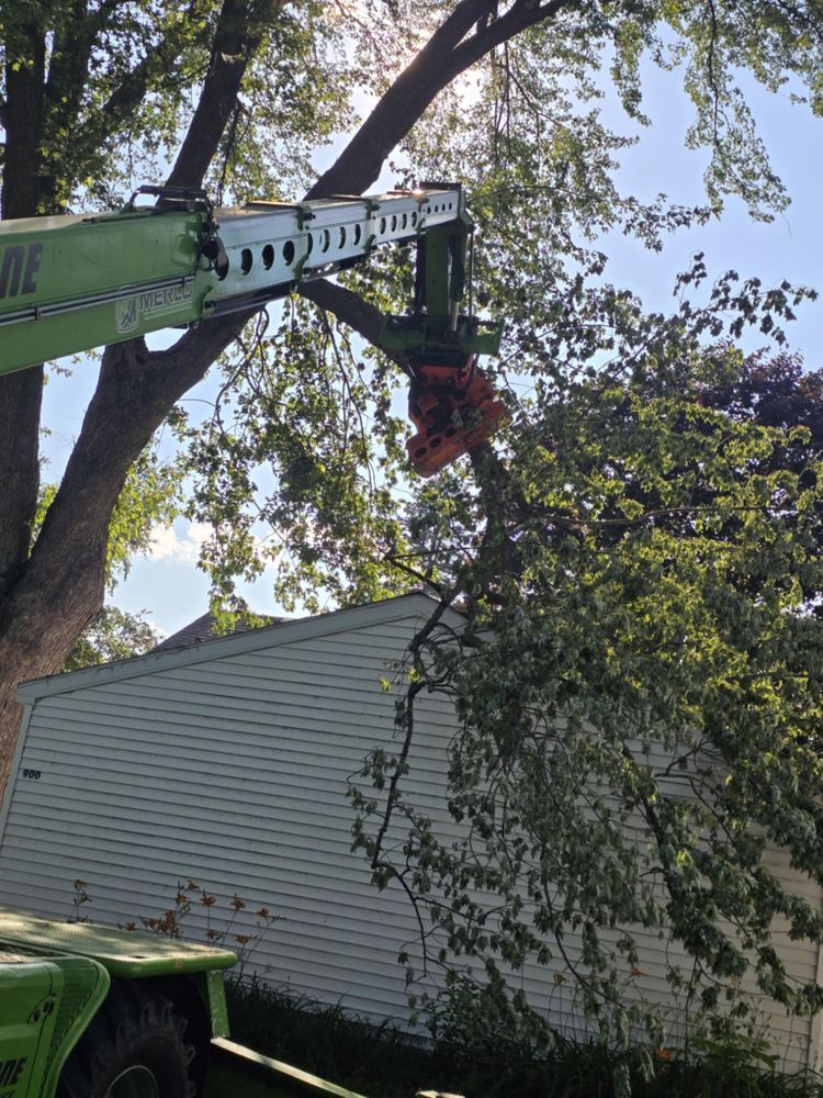 All Photos for Tree-B-Gone in Shawano, WI