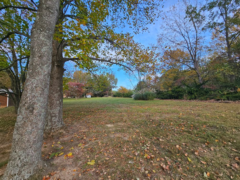 Tree Trims for Affordable Tree Service TN in White House, TN