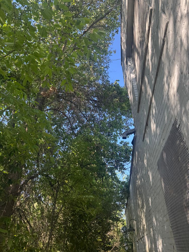All Photos for Johnson Gutter Cleaning and Construction  in Southern Pines, NC
