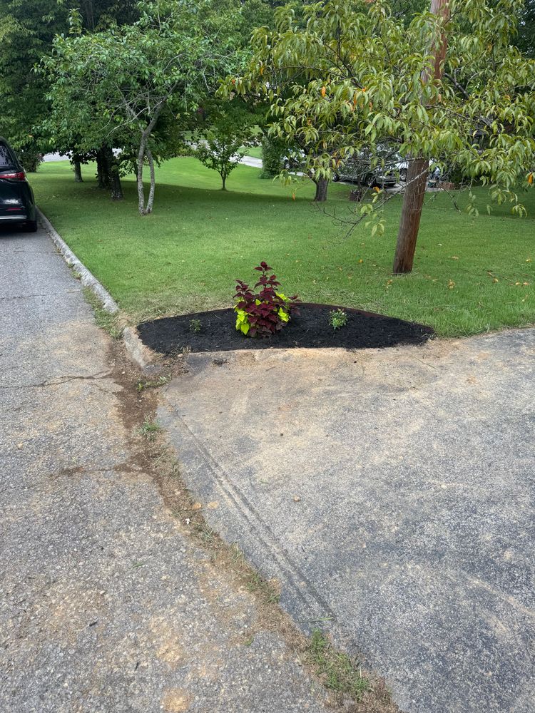 All Photos for R&M Property Maintenance in White Pine, TN