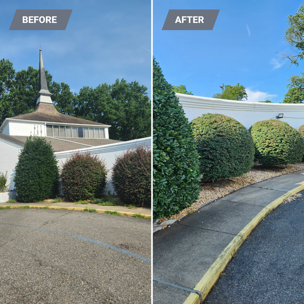 All Photos for Jose's Lawn Care & Tree Service in Williamsburg, VA