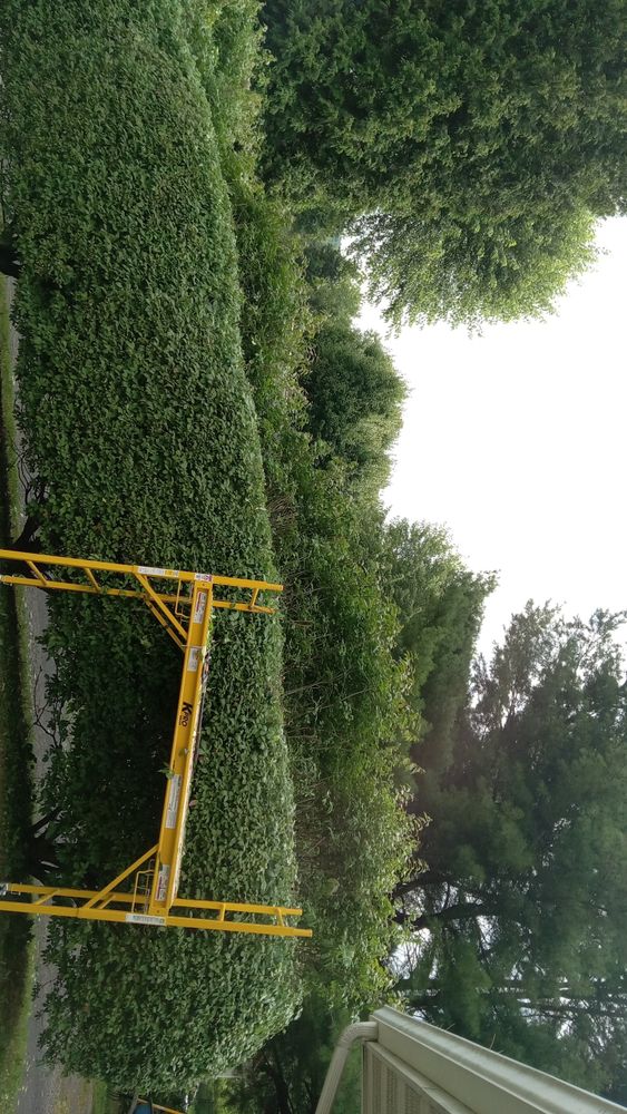 All Photos for Bakers Landscape & Design in East Liverpool, OH