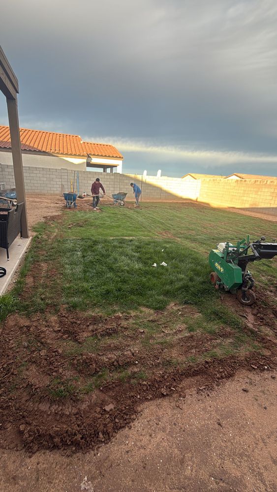 All Photos for Green landscape in Chandler, AZ