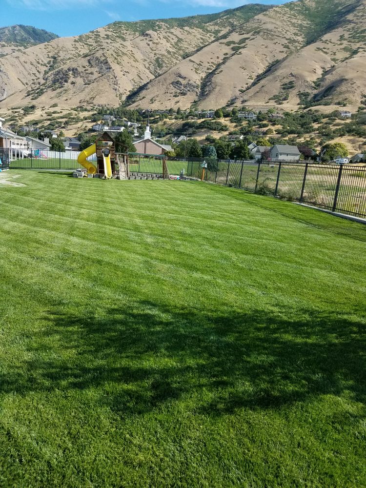 All Photos for Platinum Lawn Service in Santaquin, UT