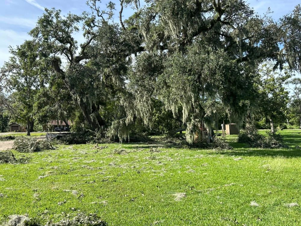 Our Disaster Cleanup service swiftly restores your property to its original state, handling debris removal and structural repairs efficiently to ensure safety and peace of mind for homeowners after any calamity. for Divine Construction Services in Brazoria County, TX
