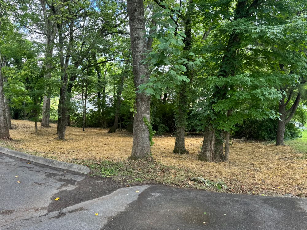 All Photos for Miller Farms Hay & Land Management in Knoxville, TN