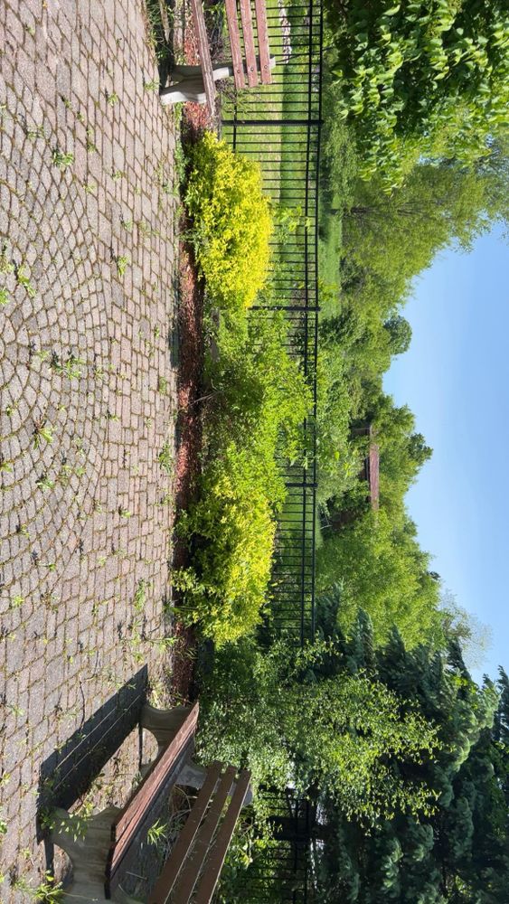 All Photos for Denicola’s Lawn Care in Oxbow,  NY