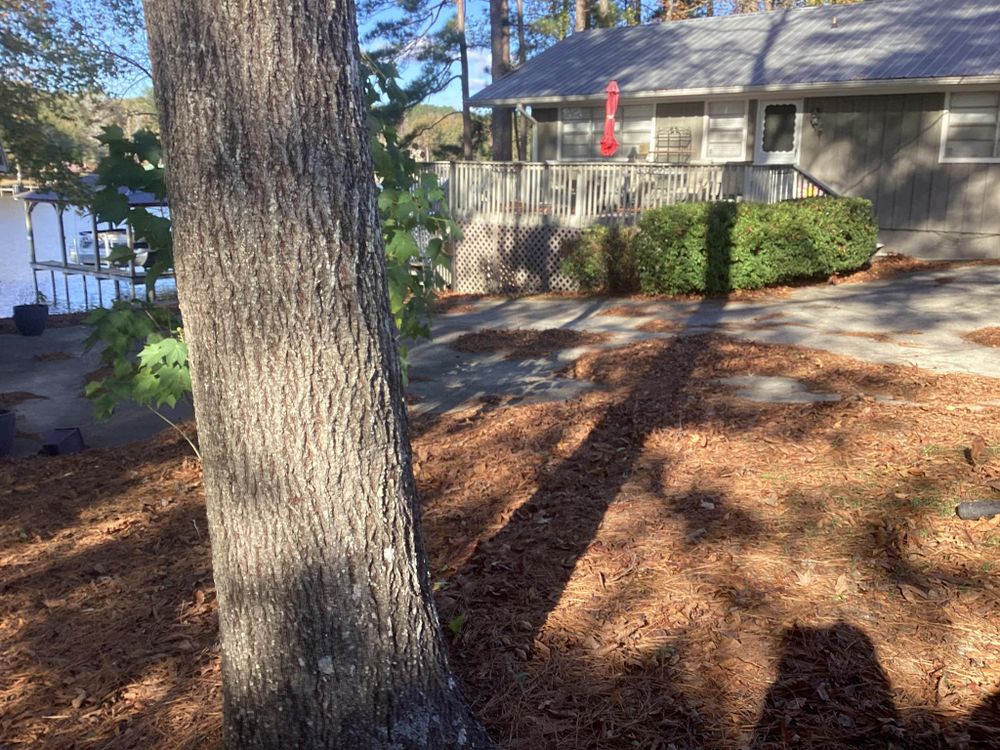 All Photos for Xtreme Landscaping & Lawn Care in Lincoln, AL