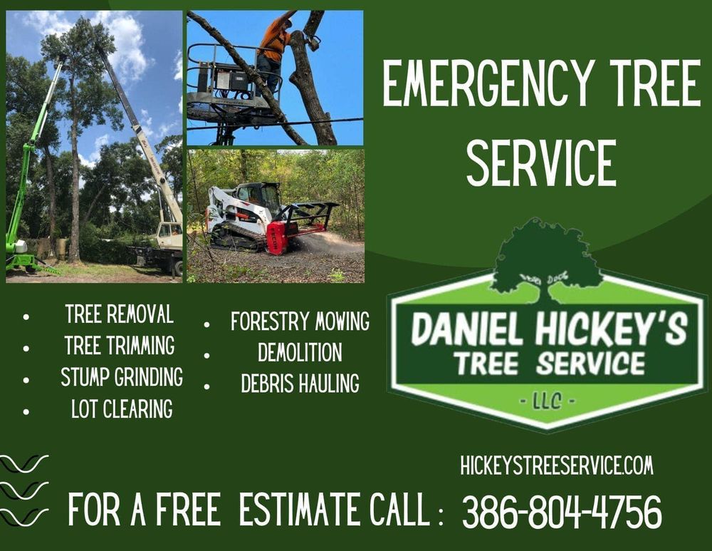 All Photos for Daniel Hickey’s Tree Service in DeLand, FL