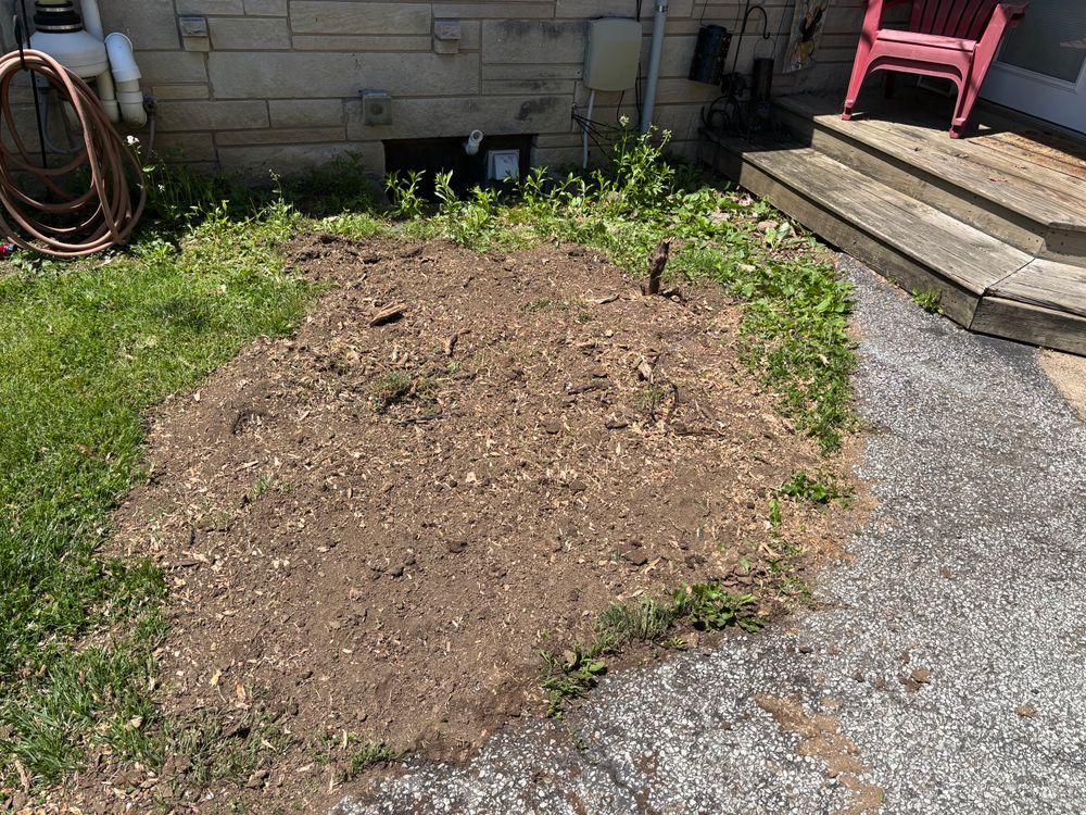 All Photos for Conrad's Stump Removal in Columbus, IN