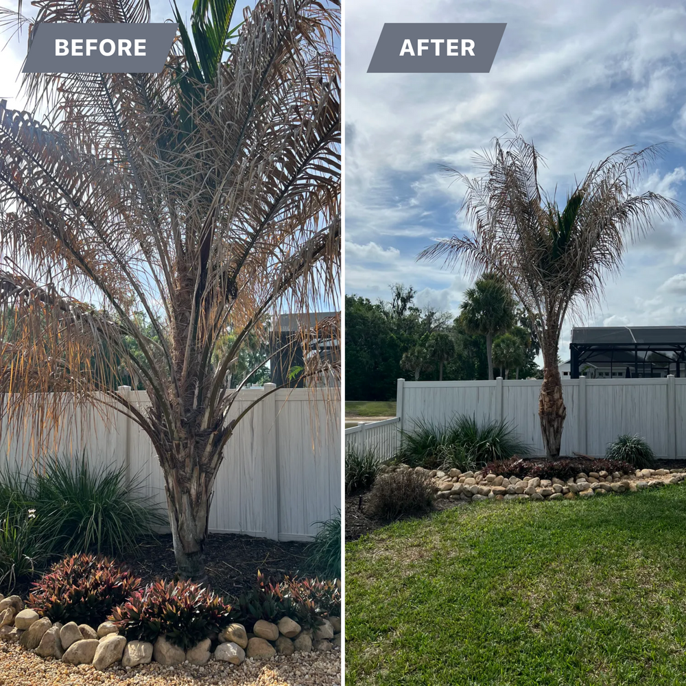 All Photos for R.B. & Company in Belleview, FL