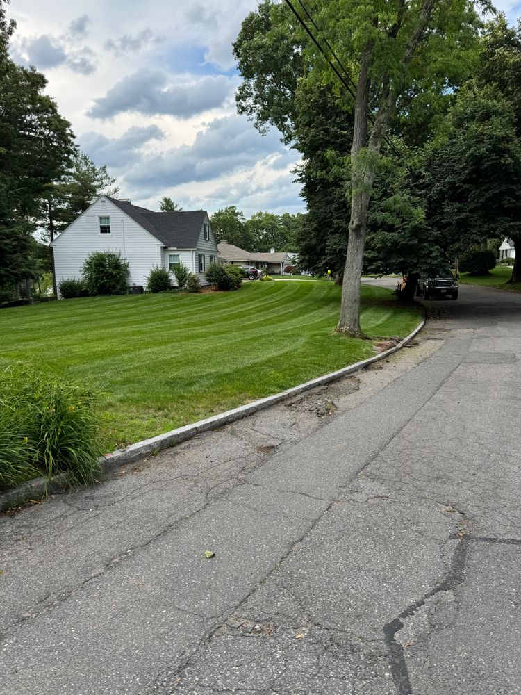 All Photos for Adams Landscaping in Springfield, MA