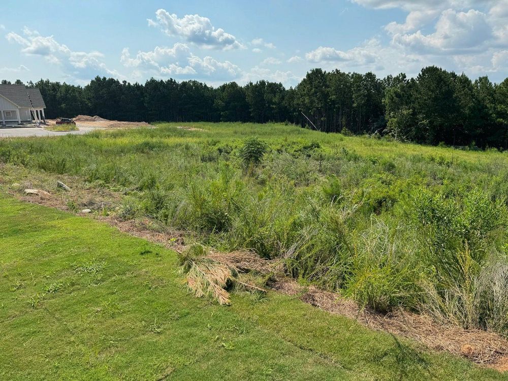 Brush Cutting and Removal for Fayette Property Solutions in Fayetteville, GA