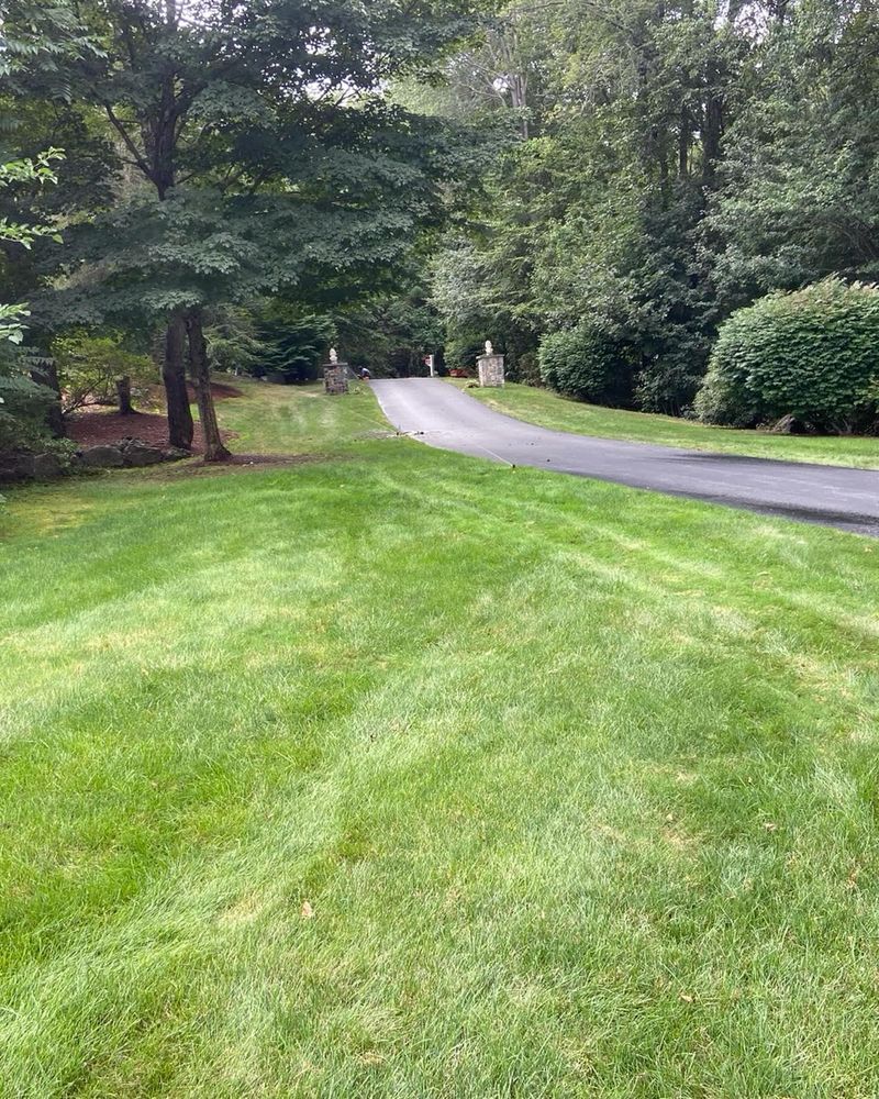 All Photos for F Carias Irrigation Specialist INC in Southborough, MA