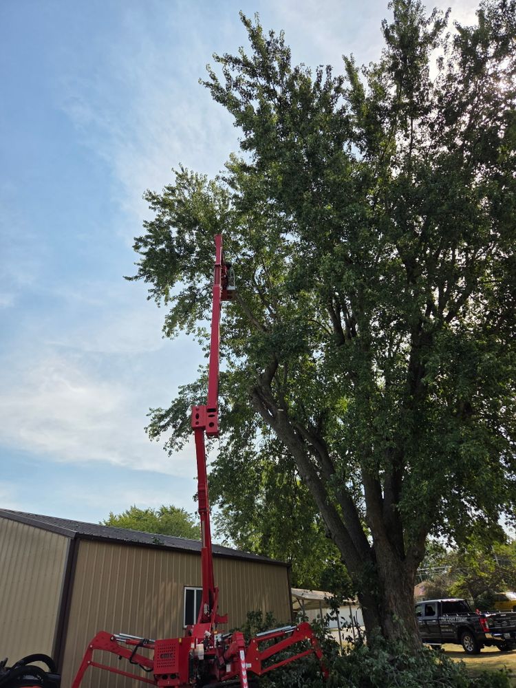 All Photos for Lawn Ranger Yard And Tree Service LLC in Ottumwa, IA