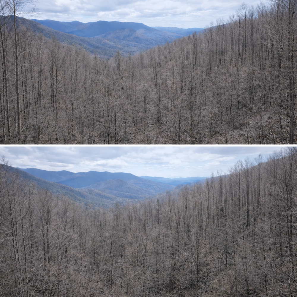 All Photos for DC Excavation in Jackson County, NC