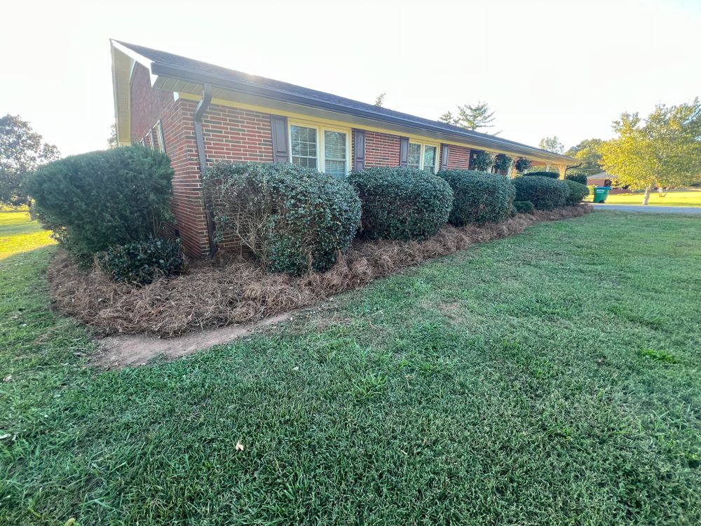 Our Hedge Trimming service is the perfect way to keep your hedges looking neat and tidy. We'll trim them to perfection, so you can enjoy their beauty! for LC Lawn Care & Landscaping in Canon, GA