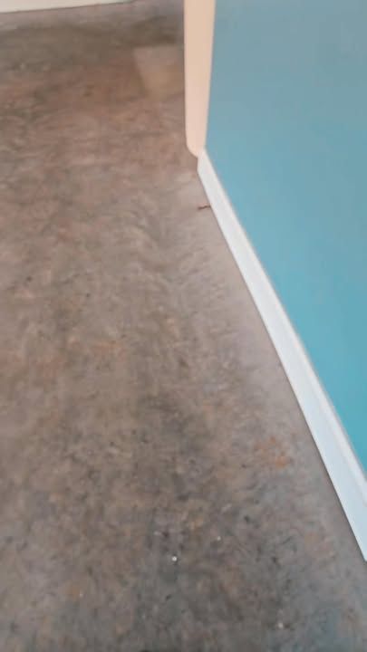 All Photos for Exclusive Custom Coatings in Hanover, PA