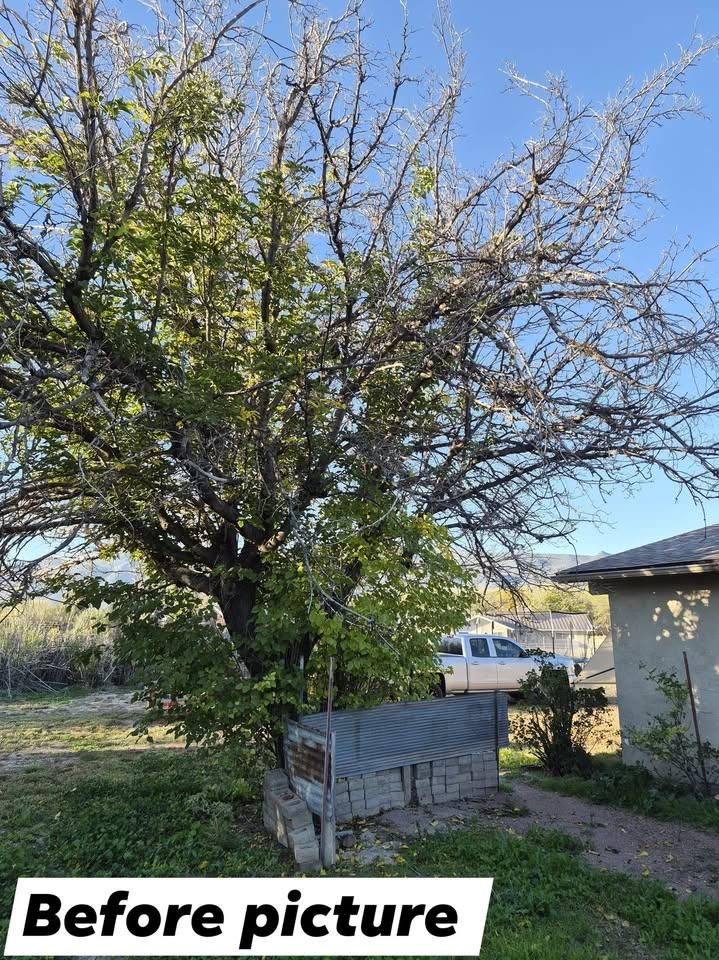 All Photos for D & D Handyman Services LLC in Cottonwood, AZ