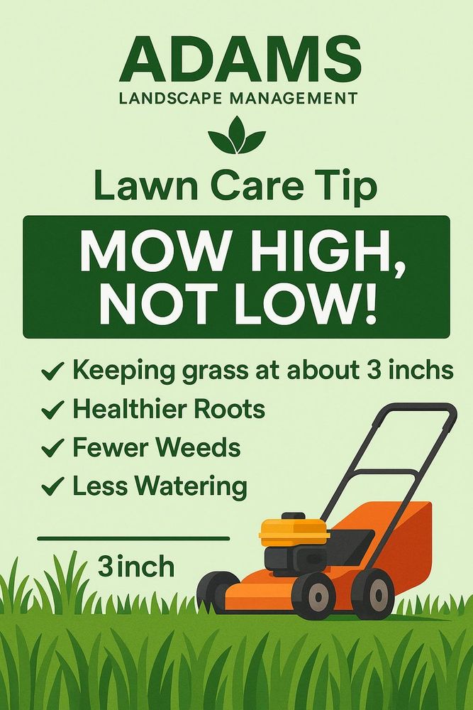 All Photos for Adams Landscape Management Group LLC. in Loganville, GA