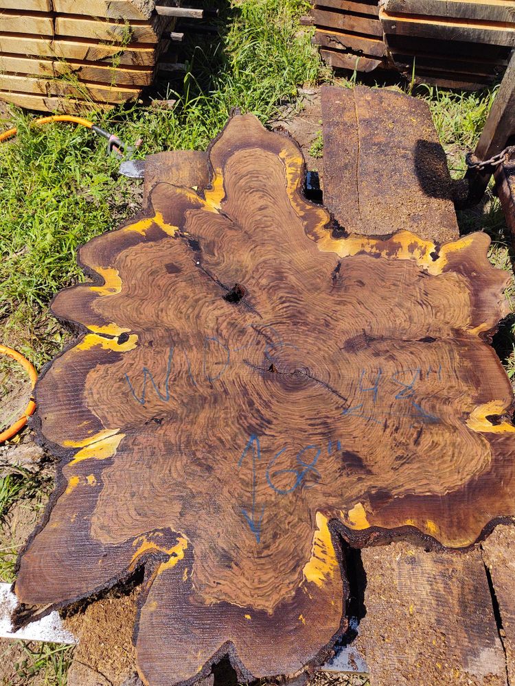 Wood Slabs for Bennett Logging in Gosport, Indiana