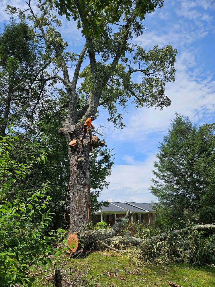 All Photos for Paradise Landscaping and Tree Service in Greenwood County, SC