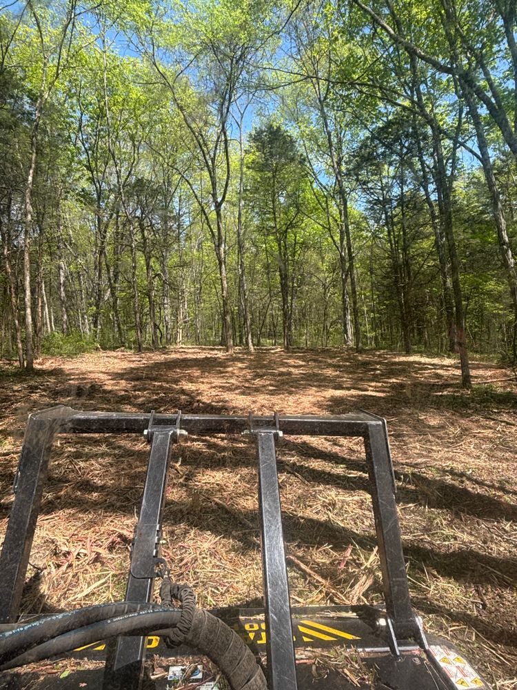 All Photos for Gregory Grass and Lawn in Lafayette, TN