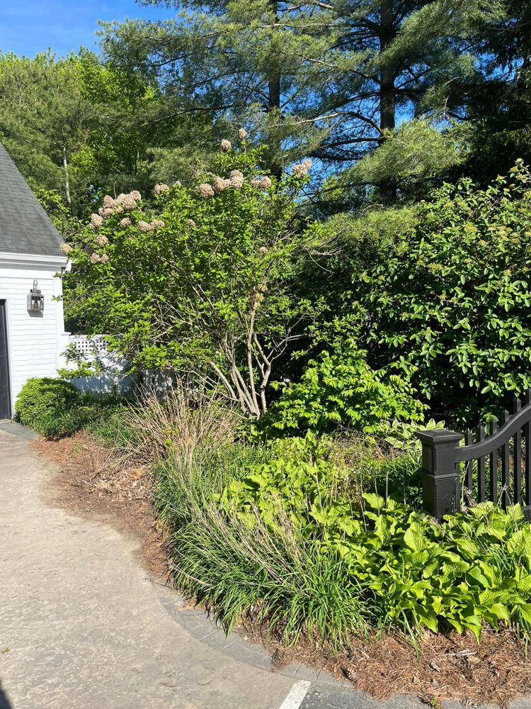 All Photos for Cincinnati’s Finest Landscape Services LLC in Cincinnati, OH