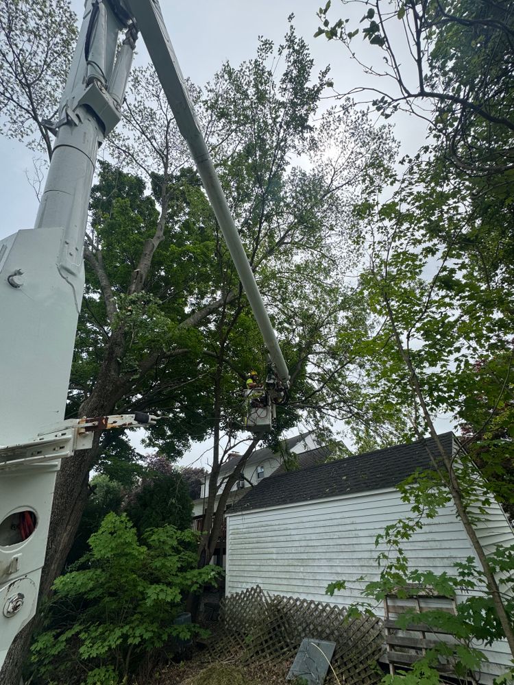 All Photos for Hennessey Tree & Landscape LLC in Oxford,  CT 