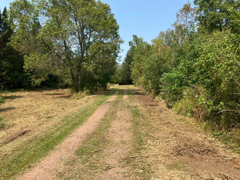 Land Clearing for Brush Busters in Wausau, WI