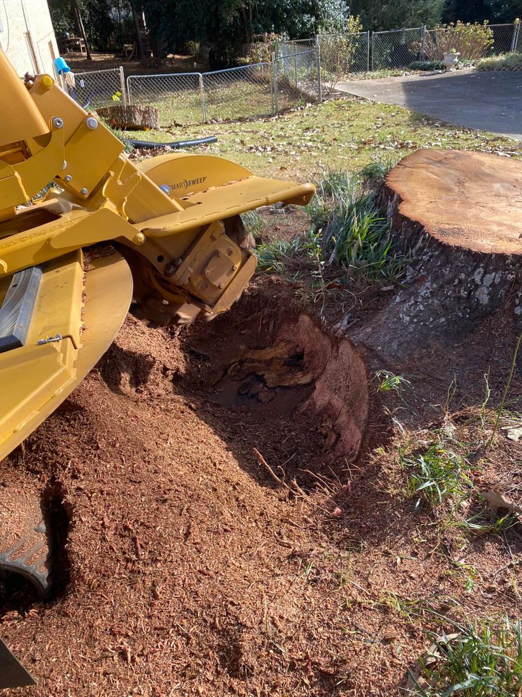 Our Stump Removal service efficiently eliminates unsightly tree stumps, enhancing your landscape's beauty and safety while preventing potential pest problems and promoting healthy lawn growth. Transform your yard with our expert care. for J&M Stump Grinders LLC in Douglasville, GA