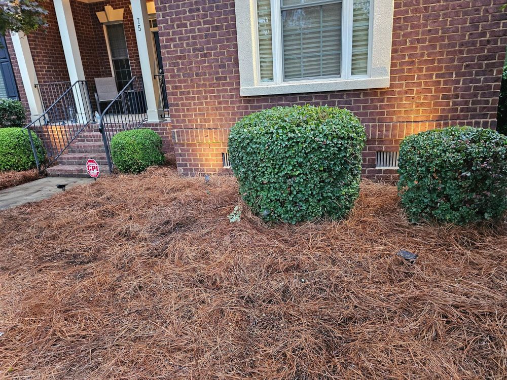 All Photos for 1 Man Does It Lawn Service in Blythewood, SC