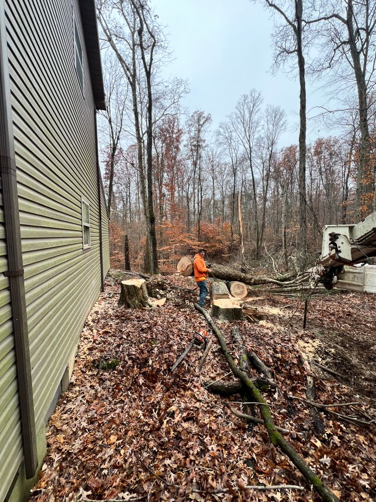 All Photos for Kadin’s Tree Service in North Vernon, IN