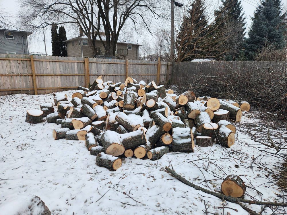 All Photos for Canopy Tree Service in Kenosha, WI