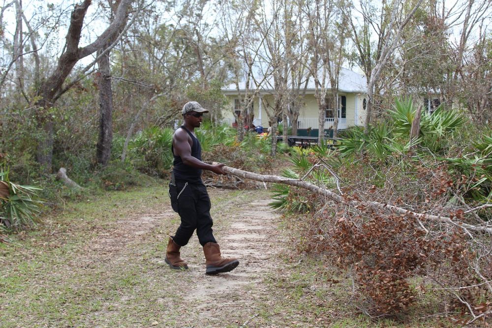 American Tree Masters team in Alvin, TX - people or person