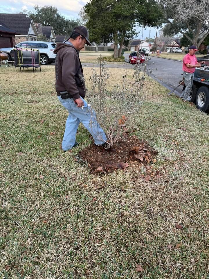 All Photos for Texas Curb N Borders in Houston, TX