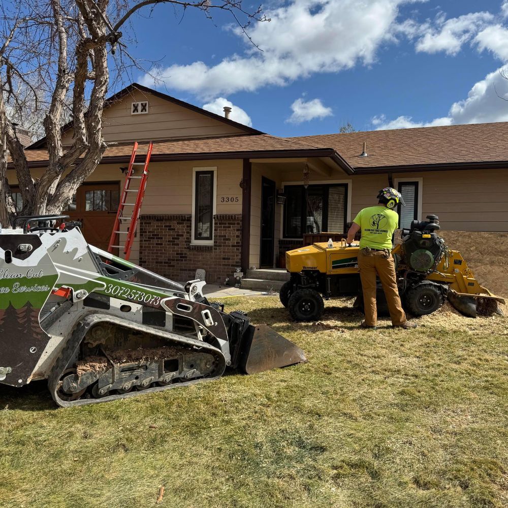 All Photos for Clean Cut Tree Service in Gillette, WY