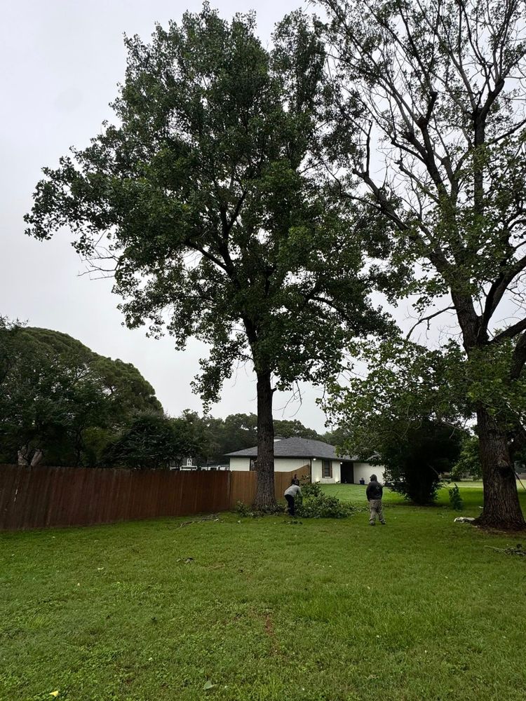 All Photos for Year Round Trees & Concrete Inc. in Fort Worth, TX