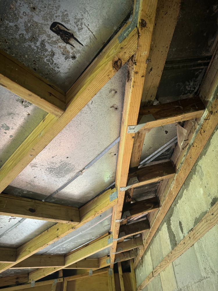 Major Renovation for Spirit Enterprise Construction LLC in Tampa Bay, FL