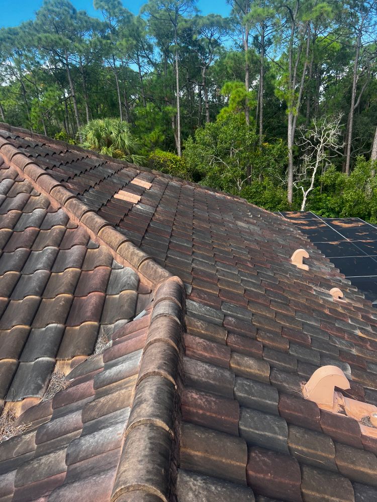 All Photos for Barr None Wash Pro in Tampa, FL