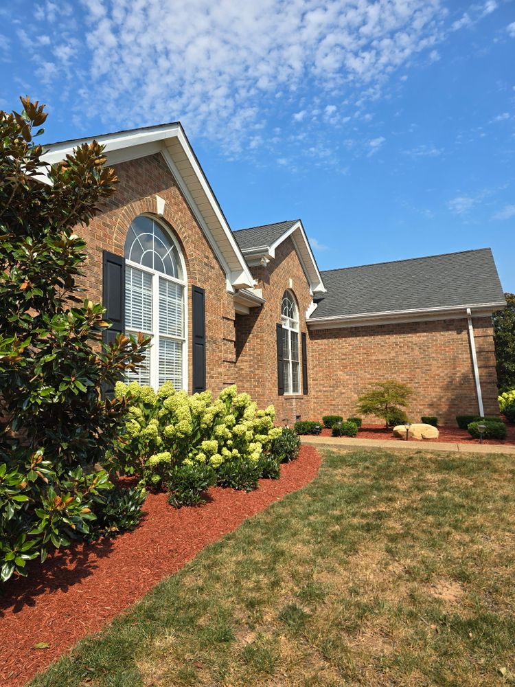 All Photos for Optimum Tree Service And Landscaping in Bowling Green, KY