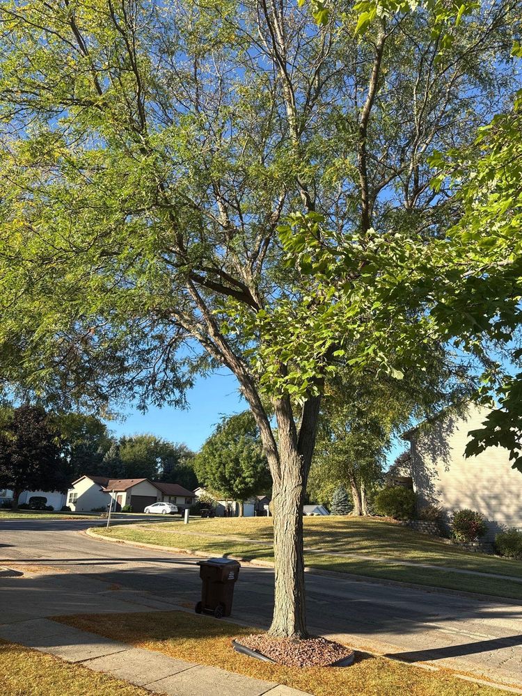 All Photos for Fransen's Tree Service  in Freeport, IL