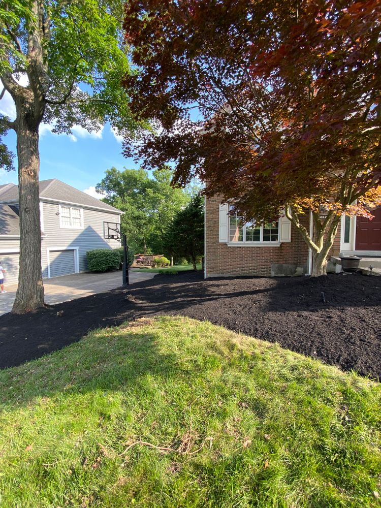 All Photos for Castle JR Landscaping & Painting LLC in Cincinnati, OH