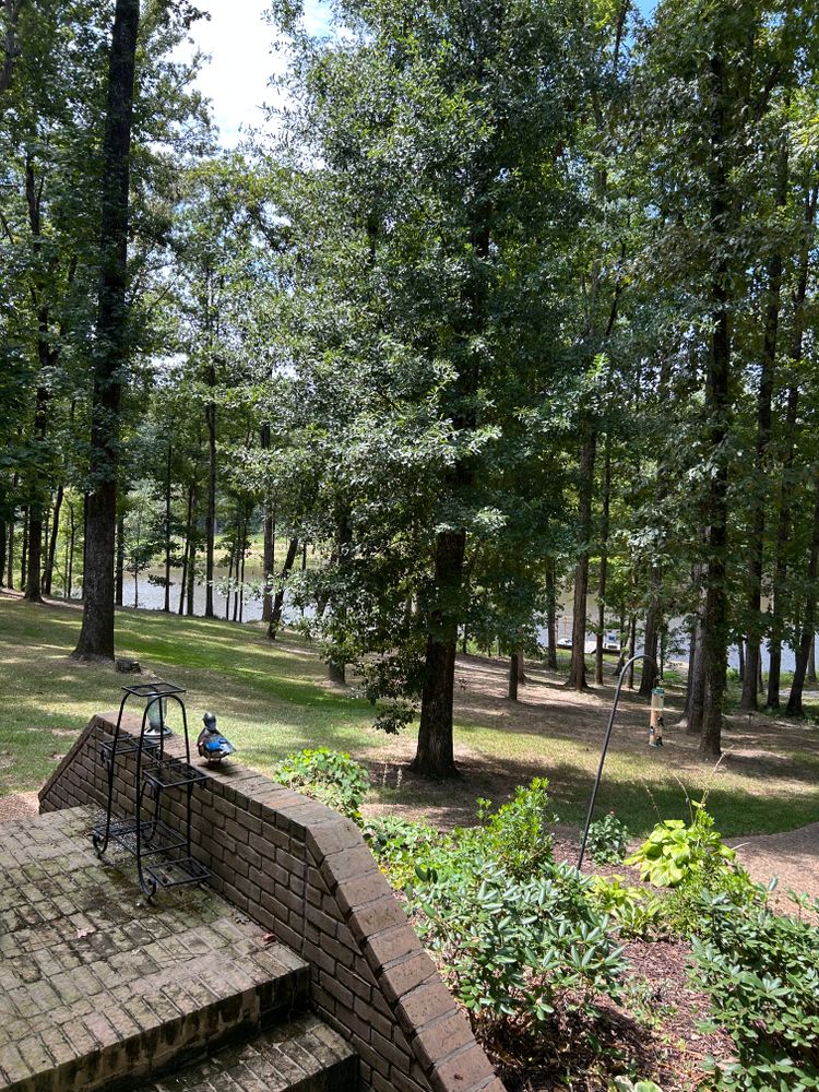 All Photos for Broadway & McMullen Construction in Hattiesburg, MS
