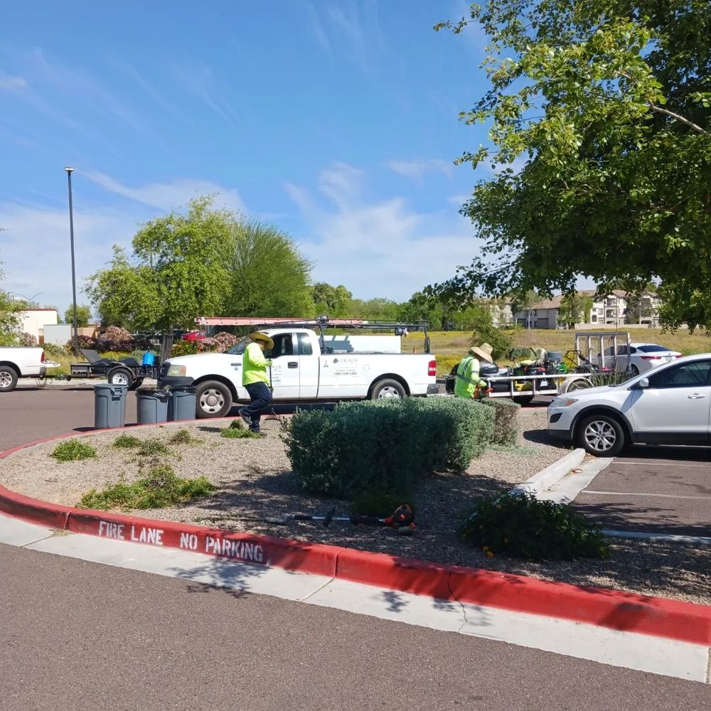 All Photos for CRAJE Landscaping LLC in Mesa, AZ