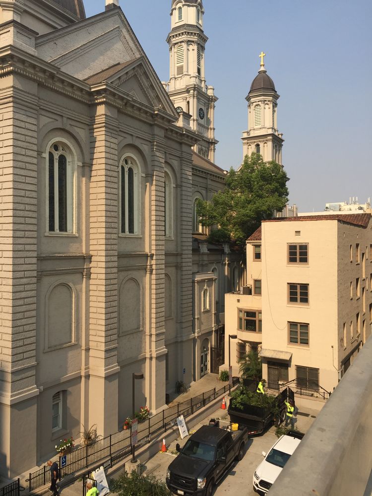 All Photos for Blue Water Landscape Services in El Dorado Hills, CA