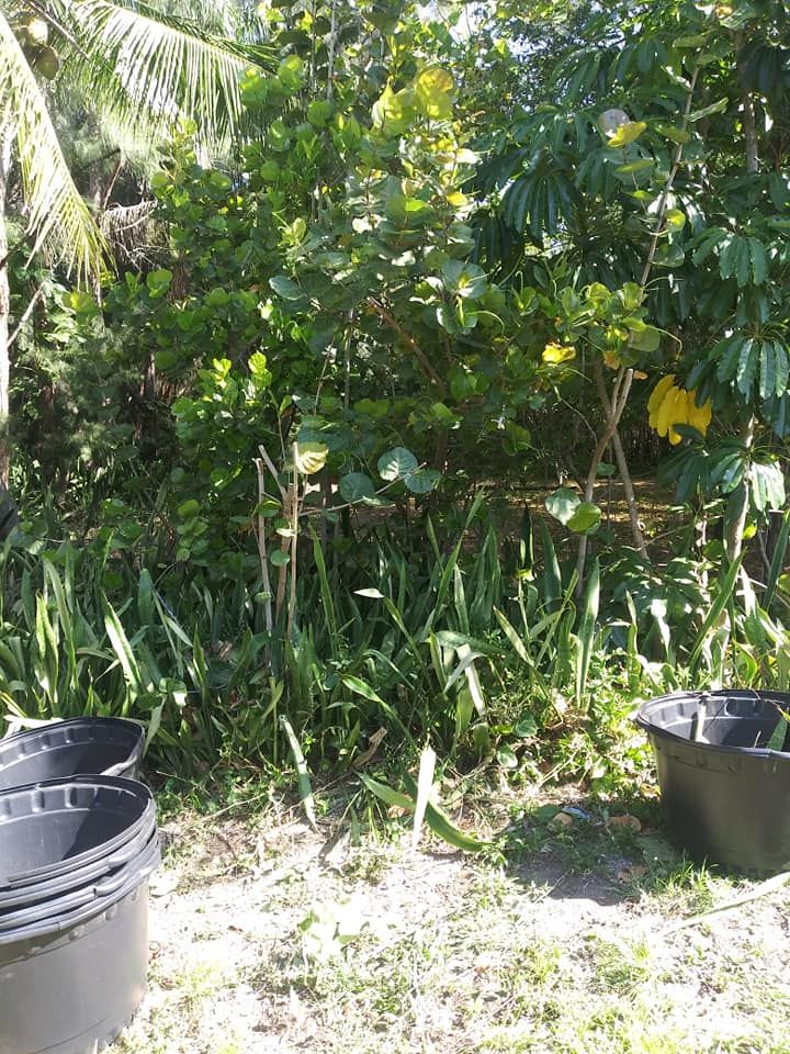 All Photos for Madissons Green in West Palm Beach ,   FL