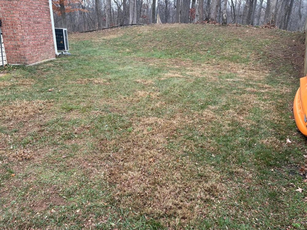 All Photos for Walsh Lawn And Landscape in Olney, MD