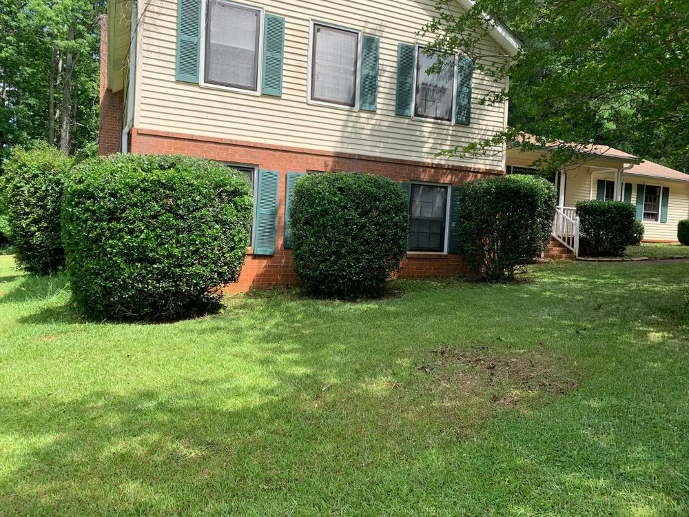 Landscaping for CK Lawn Maintenance in Peachtree City, GA